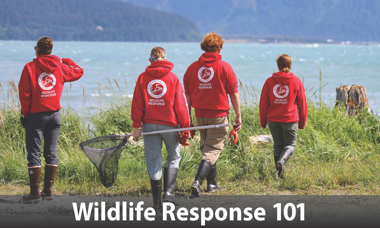 Wildlife Response 101